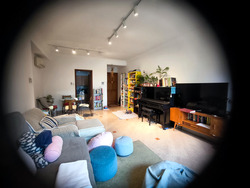 Spring Grove (D10), Condominium #478914781